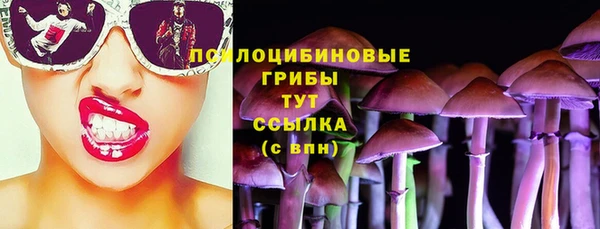 стаф Алексин