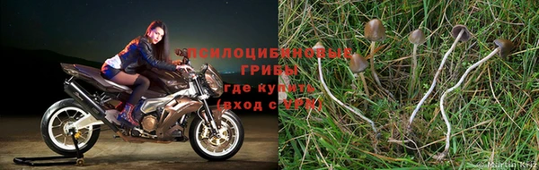 COCAINE Абаза